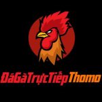 Thiết-kế-chưa-có-tên-2