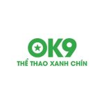 logo-ok9